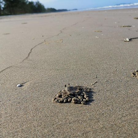 Samsuria Beach Apartment Resort チェラティン エクステリア 写真