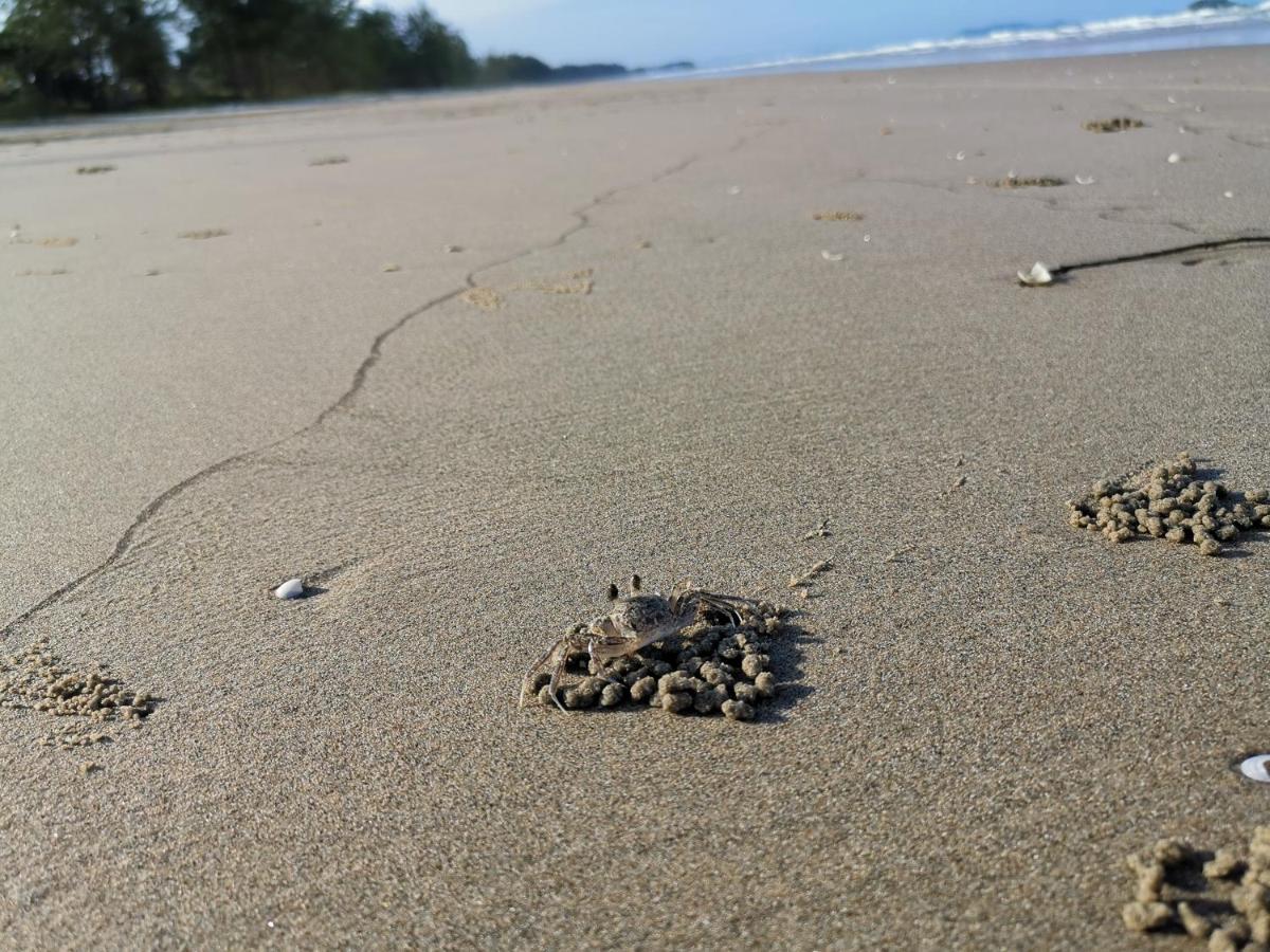 Samsuria Beach Apartment Resort チェラティン エクステリア 写真